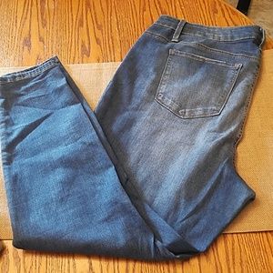 True Craft Plus Size Skinny Jeans